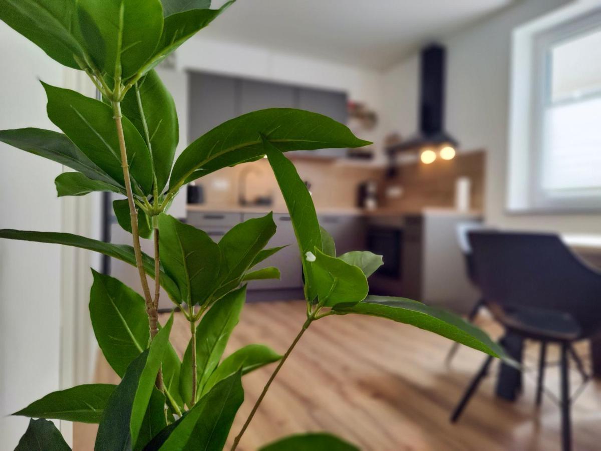 Hygge Home - Mit Garten Und Stellplatz Fuer Feriengaeste-, Monteure / Netflix / 10 Min. Zur Sinsheim Therme Und Zur Autobahn Exterior foto